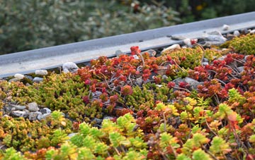 the cost of Tickencote green roof installation