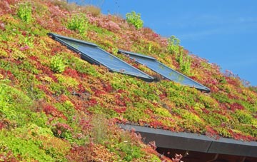 Tickencote living roof systems